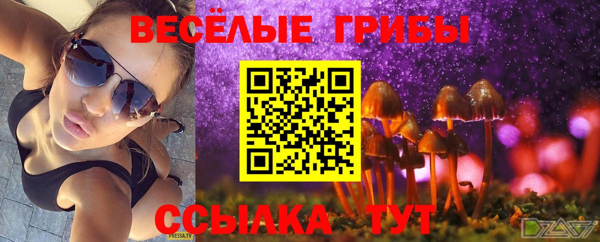 Галлюциногенные грибы MAGIC MUSHROOMS  Вход с VPN  Юрга  Псилоцибиновые грибы Psilocybe 